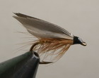 Wickham´S Fancy