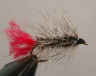 Peacock Wolly Worm
