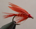 Red Ibis