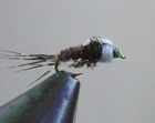 CHANI'S CHIRONOMID