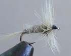 CREAM MIDGE