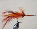 Orange Grizzly