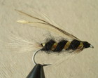 Seatrout Master