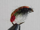 Olive Red Tag Hermit