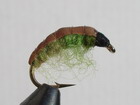 Green Hermit