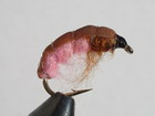 Pink Hermit