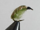 Olive Carrot