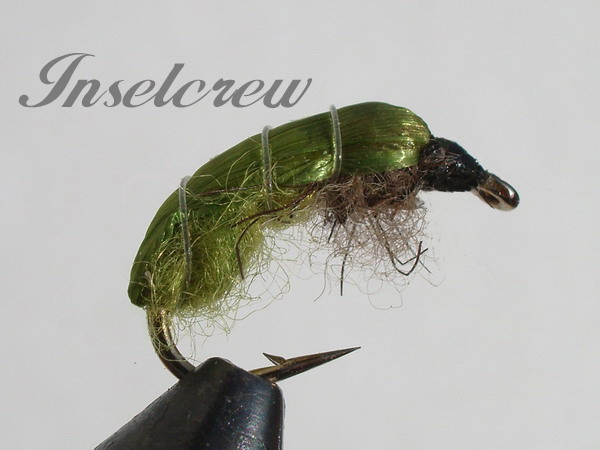 Dark Green Larva