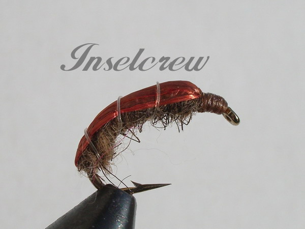 Brown Larva