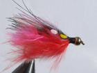 Aiken Marabou