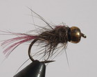BBWO Nymph
