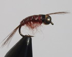 Brown Scud