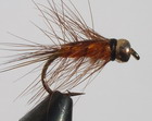 Shrimp Orange