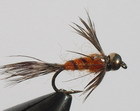 Stenonema Flashback