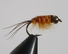 Big Horn Scud