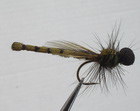 Dads Demoiselle Green