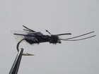 Ameisenkönigin Flying Ant
