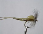 Mayfly Emerger grey