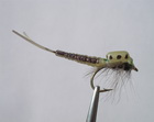 Mayfly real emerger 