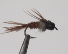 Dr g Pheasant Tail